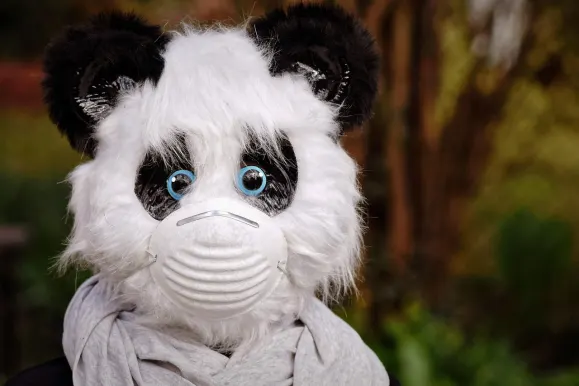 SilverPlay Casino Suporte